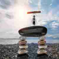 301重​定‌向‍对​收​录‍有﻿没‌有‍影﻿响‌